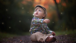 Young boy woods sitting looking - a young boy free wallpaper
