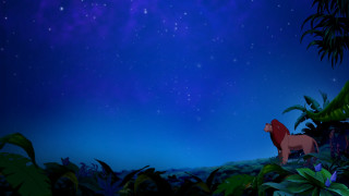 Lion jungle night sky stars - don bluth free wallpaper