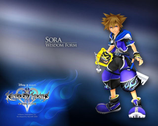 Kingdom hearts sora blue hoodie - a blue outfit free wallpaper