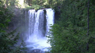 Waterfall forest trees man standing - twin peak free wallpaper