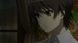 Man tie glasses room flowers - a room free wallpaper for desktop