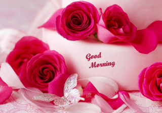 Pink cake roses butterfly good - a good morning message free wallpaper