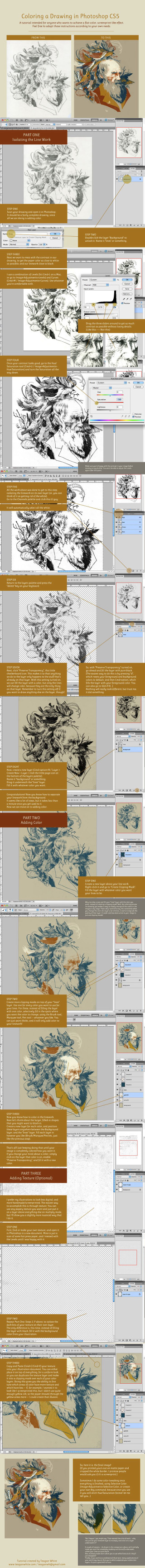 Large poster different types lines - different color free wallpaper for mobile