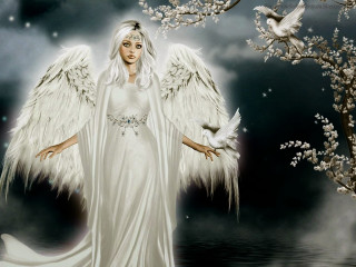 White angel wings feathers dress - a white veil free wallpaper