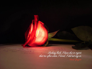 Rose paper quote sitting on 2 - paper free wallpaper