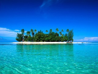 Small island palm trees blue 2 - a small island free wallpaper for desktop