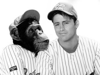 Man monkey baseball uniforms posing - free dogs wallpaper