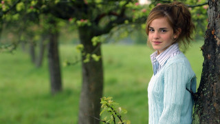 Woman tree field blue sweater - a blue sweater free wallpaper