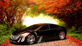 Car parked road trees background - matte drawing free wallpaper for desktop