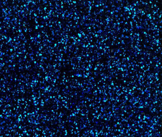 Blue background speckles black background - derek jarman free wallpaper