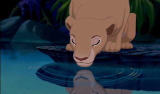 Lion standing water eyes closed - don bluth free wallpaper