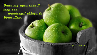 Wooden bucket green apples still - photorealistic imagery free wallpaper