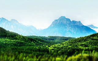 Mountain range forest blue sky - a forest in the foreground free wallpaper for desktop