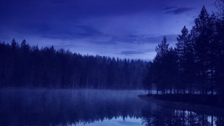 Lake forest night sky milkyway - tree and a forest in the background free wallpaper