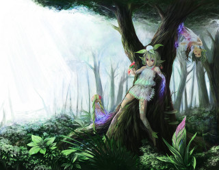 Fairy sitting tree forest light - a tree in a forest free wallpaper