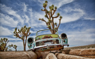 Car parked log desert cactus - a surrealist sculpture free wallpaper