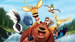 Bear forest animals cartoon bird - disney free wallpaper