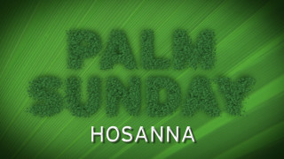 Green background palm sunday grass - esaias boursse free wallpaper