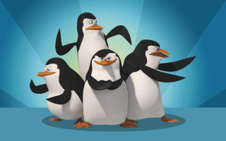Penguins group blue background border 2 - a group of penguins free wallpaper