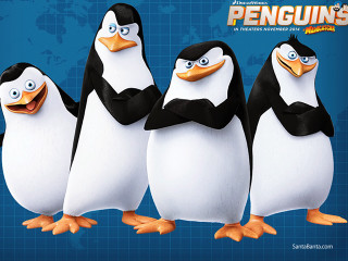 Penguins group blue background world - a group of penguins free wallpaper