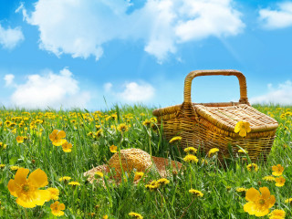 Basket hat field flowers blue - summer free wallpaper for desktop