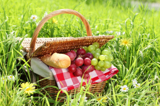 Picnic basket grapes bread daisies - daisy free wallpaper