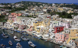 Harbor boats city buildings trees 2 - a harbor free wallpaper