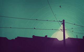 Bird telephone pole city night - amir zand free wallpaper
