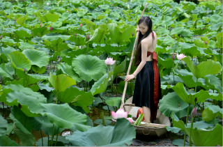 Woman black dress water lilies - chen chun free wallpaper