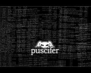 Puscifer black white skull photo - eric peterson free wallpaper