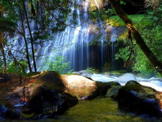 Waterfall forest rocks trees stream 12 - rock and trees free wallpaper