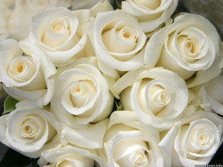 White roses bouquet rococo anna - white rose free wallpaper