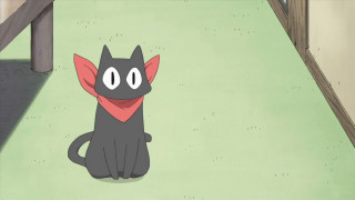 Black cat red collar wooden - a red collar free wallpaper for desktop