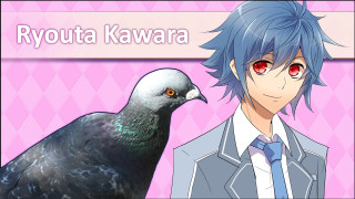 Bluehair pigeon shoulder toyota kawara - awataguchi takamitsu free wallpaper