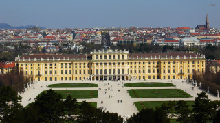 Large building windows grass trees - david chipperfield free wallpaper
