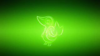 Green background bird back side - back side free wallpaper