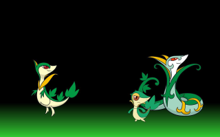Green yellow dragons sitting black - symmetry!! free wallpaper
