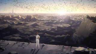 Man standing ledged looking birds - a flock of birds free wallpaper