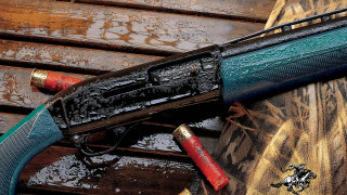 Gun hose wooden surface dog - a hose free wallpaper