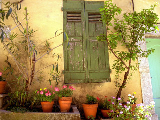 Green window shutter door plant - a green door free wallpaper