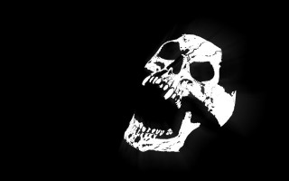Skull black background white outline - face and neck free wallpaper for desktop