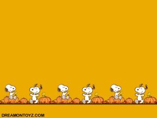 Charlie brown thanksgiving pumpkins peanuts - card free wallpaper