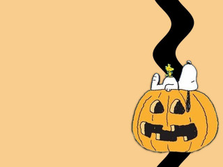 Cartoon pumpkin cat black stripe - top of its free wallpaper
