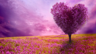 Tree field flowers heart shaped - a heart free wallpaper for desktop