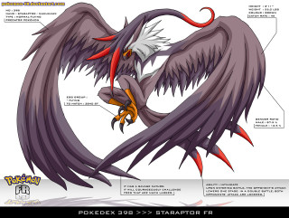 Bird drawing with wings and - a drawing of a bird free wallpaper