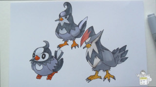 Three birds different colors sizes - three bird free wallpaper