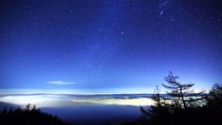 Night sky stars clouds trees - a night sky free wallpaper
