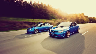 Two cars driving road forest - two car free wallpaper