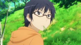 Man glasses standing field grass - glass free wallpaper