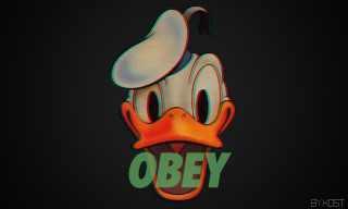 Duck hat obey chest image - a duck free wallpaper